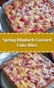 Spring Rhubarb Custard Cake Delight