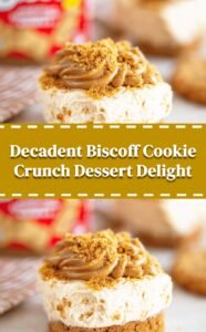Biscoff Cookie Delight Crunch Bliss
