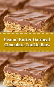 Chewy Peanut Butter Oatmeal Chocolate Bars