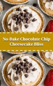 No Bake Chocolate Chip Cheesecake Delight