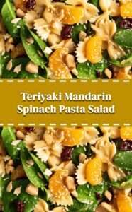 Teriyaki Mandarin Spinach Pasta Salad